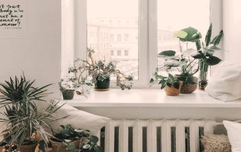 best air purifiers for home use