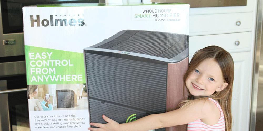 best-holmes-humidifier-review